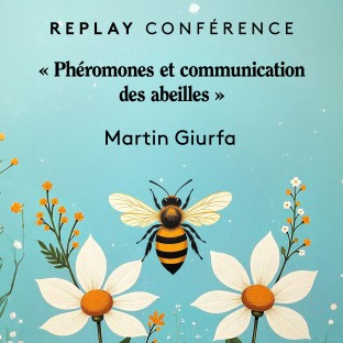 Replay conférence Martin Giurfa