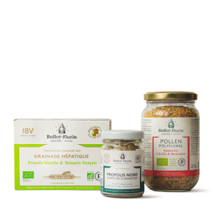 Soft Detox Kit - 3 preparations - Cleanse your body