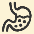 bénéfice Bien-être gastro-intestinal